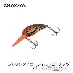 ダイワ　ラトリンタイニーワイルドピーナッツ ボーンブラウンクロー
