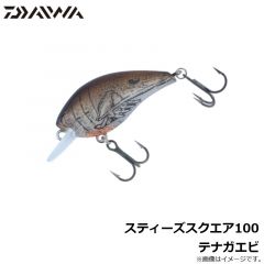 ダイワ　スティーズスクエア100 テナガエビ