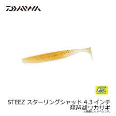ダイワ　スティーズスターリングシャッド 4.3インチ 琵琶湖ワカサギ