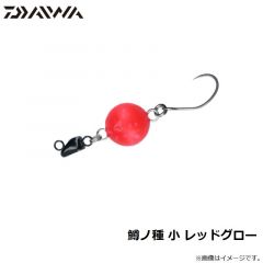 ダイワ　鱒ノ種 小 レッドグロー
