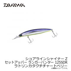 R-1 スプリットリングライトクラス #1 ブラック
