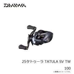 ダイワ　タトゥーラ SV TW 100　2024年12月発売予定