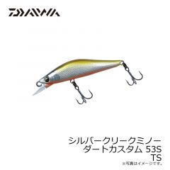 ダイワ　シルバークリークミノーダートカスタム 53S TS