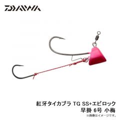 ダイワ　紅牙タイカブラ TG SS+エビロック 早掛 6号 小梅