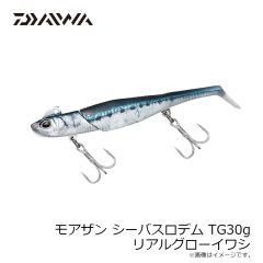 ダイワ　SB-ロデム TG30g リアルグローイワシ