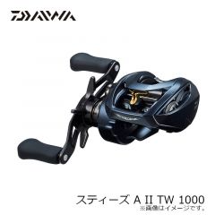 ダイワ　スティーズ A II TW 1000　2022年新製品 12月発売予定