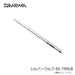 ダイワ　シルバーウルフ EX 75MLB　2024年4月発売予定