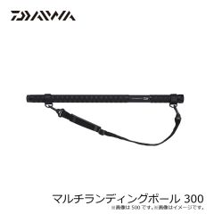 ダイワ　マルチランディングポール 300　2024年3月発売予定