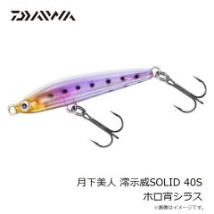 ダイワ　月下美人 澪示威SOLID 40S ホロ宵シラス