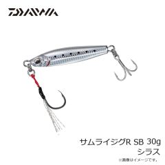 ダイワ　サムライジグR SB 30g ゼブラグロー