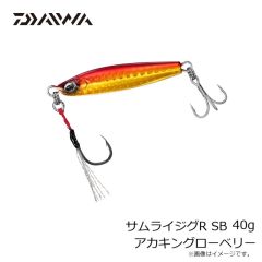 ダイワ　サムライジグR SB 20g UVリアルブルピンイワシ
