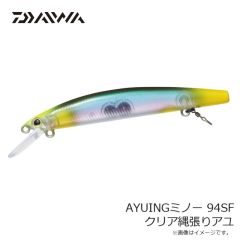 ダイワ　アユイングケース 205D