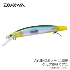 ダイワ　アユイングケース 205D