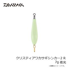ダイワ　クリスティアワカサギシンカー2 R 4g 夜光