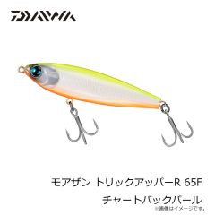 ダイワ　シルバーウルフ ラフトリック 90F ボーン