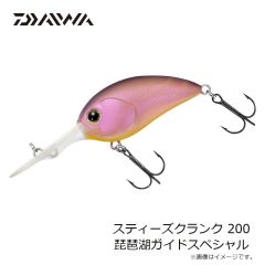 サベージギア 3DホロウダックF 4インチ マラード 