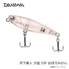 エバーグリーン　ワイドシーカー #602 ビッグバイトチャート