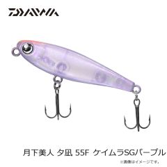 エバーグリーン　ワイドシーカー #602 ビッグバイトチャート