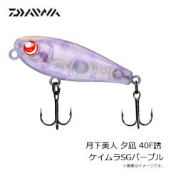 エバーグリーン　ワイドシーカー #769 マットパープルパール