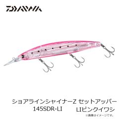 ダイワ　DS-2301G-ID GOREーTEX オフショアシューズ ミッドカット グレー 29.0cm