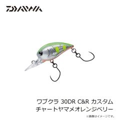 ダイワ　ワブクラ 30DR C&R カスタム チャートヤマメオレンジベリー