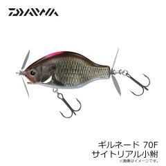 ダイワ　ギルネード 70F サイトリアル小鮒