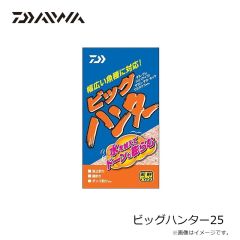 ダイワ　ビッグハンター25