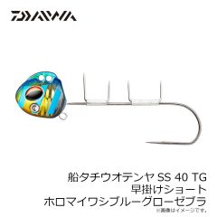 ダイワ　プレッソ ラトリンポッピンバグ ホロシルバーライン