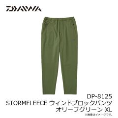 ダイワ DP-9025 PERTEX アクティブインサレーションパンツ プラム 2XL