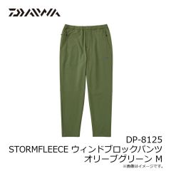 ダイワ DP-9025 PERTEX アクティブインサレーションパンツ プラム 2XL