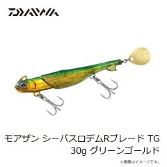 ダイワ　ソルティガ カドラー 200F フルクリア