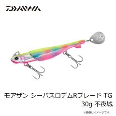 ダイワ　ソルティガ カドラー 200F フルクリア