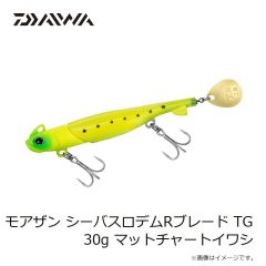 ダイワ　ソルティガ カドラー 200F フルクリア