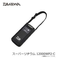 ダイワ　スーパーリチウム 12000WP2-C