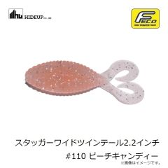 ハイドアップ　スタッガーワイドツインテール2.2インチ #102 ウォータ－メロンシード