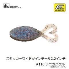 ハイドアップ　スタッガーワイドツインテール2.2インチ #102 ウォータ－メロンシード