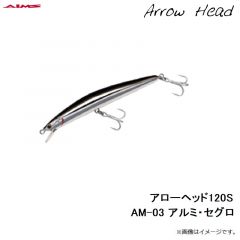 アローヘッド120F AM-01 アルミ・カタクチ
