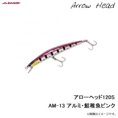 アローヘッド120F AM-01 アルミ・カタクチ
