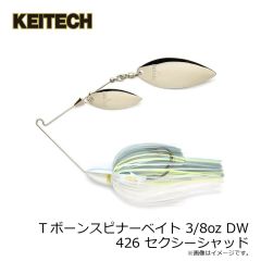 ケイテック　フレックスチャンク ミディアムラージ 001 ブラック
