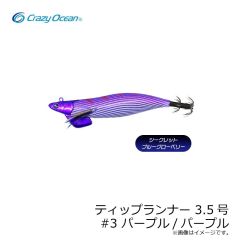 クレイジーオーシャン　ティップランナー 3.5号 #3 パープル/パープル