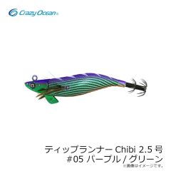 クレイジーオーシャン　オーシャンウィップ イカメタル OWIM-B59T