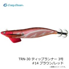 デプス　サカマタシャッド 2.5インチ #146 琵琶湖ワカサギ