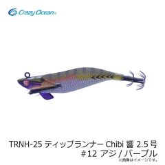 クレイジーオーシャン　TRNH-25 ティップランナーChibi 響 2.5号 #12 アジ/パープル