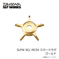 ダイワ　SLPW EX LT2500 スプール2