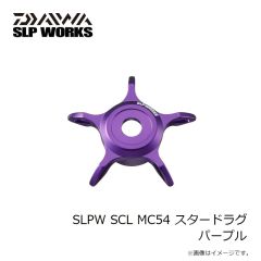 ダイワ　SLPW EX LT2500 スプール2