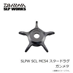 ダイワ　SLPW EX LT2500 スプール2