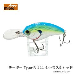 メガバス　2025メガバス福袋 TROUT SET(本流)