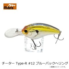 メガバス　2025メガバス福袋 TROUT SET(本流)