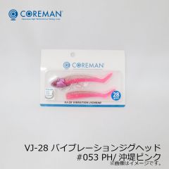コアマン　VJ-28 バイブレーションジグヘッド　#046 ゴールドヘッド/シャローイワシ