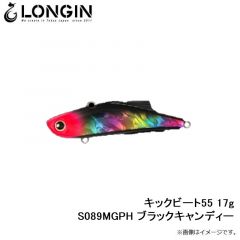 キックビート55 17g S024LN ボラ(レンズ)
